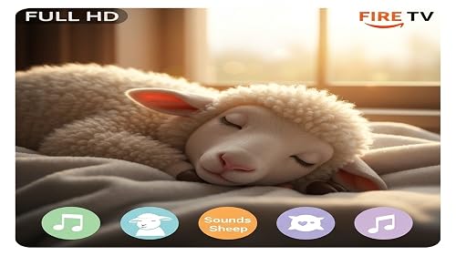 Sheep Sounds 4K: Calming Bleats & Peaceful Pasture Screensaver – vue 8