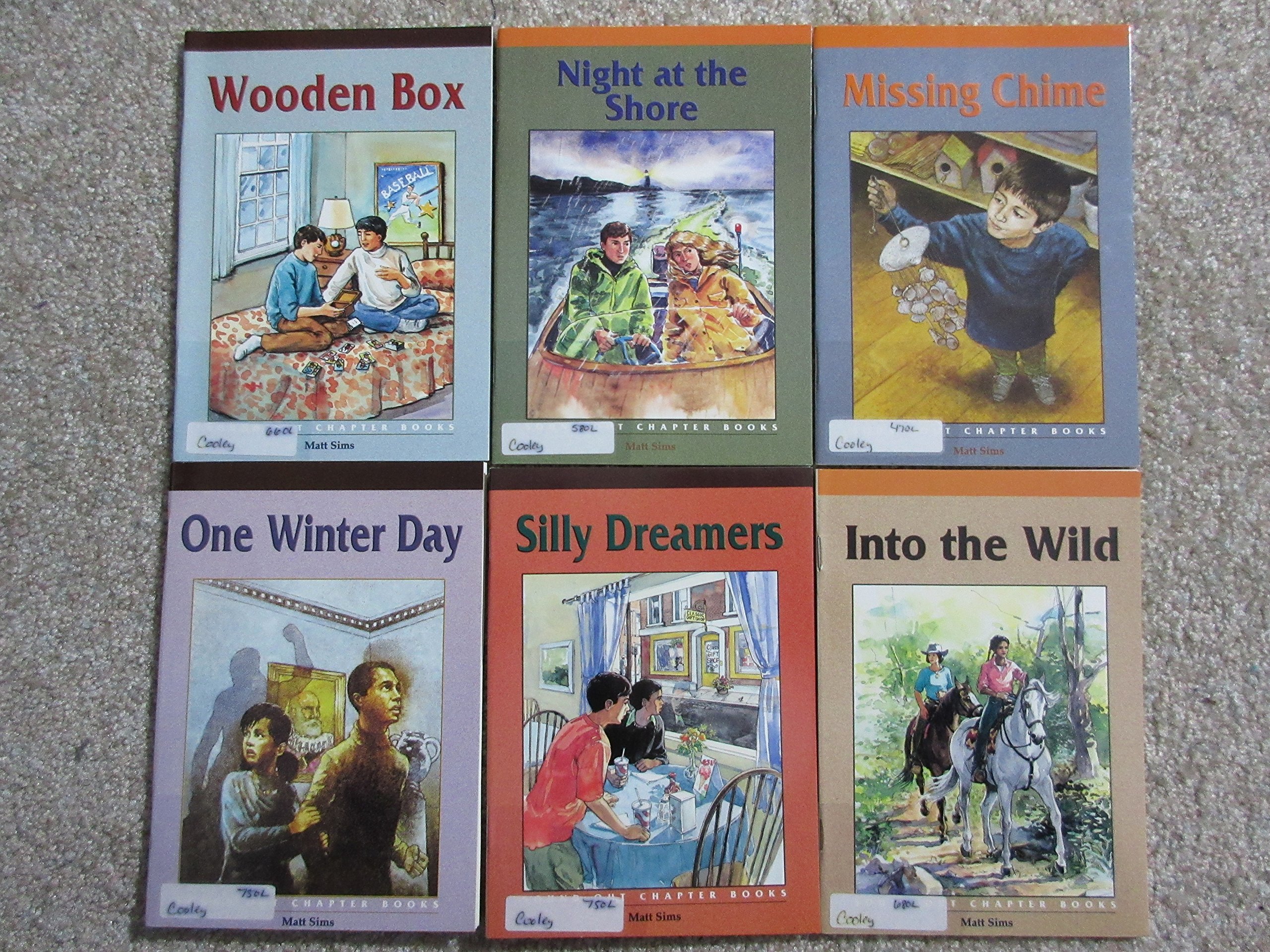 Sound Out Chapter Books: Set C-1