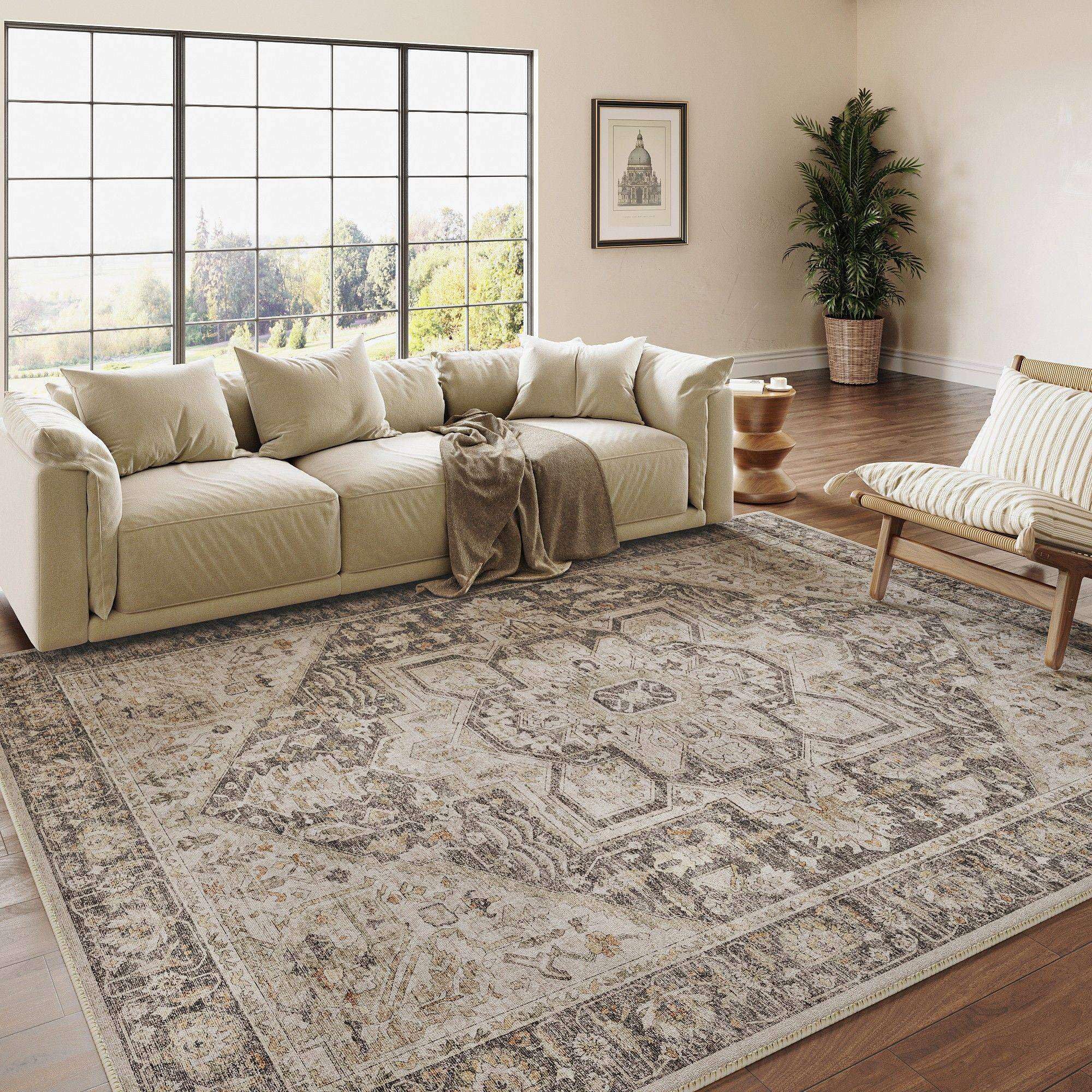 Amazon.com: PureCozy Vintage Area Rug 6x9 Large Bedroom Rug Taupe Brown ...