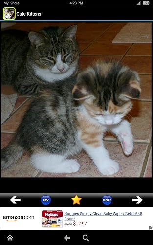 Cute & Adorable Kittens!!! FREE Kitten Meow Pets Wallpapers for Kids! Cat Lovers and World Animal Ki
