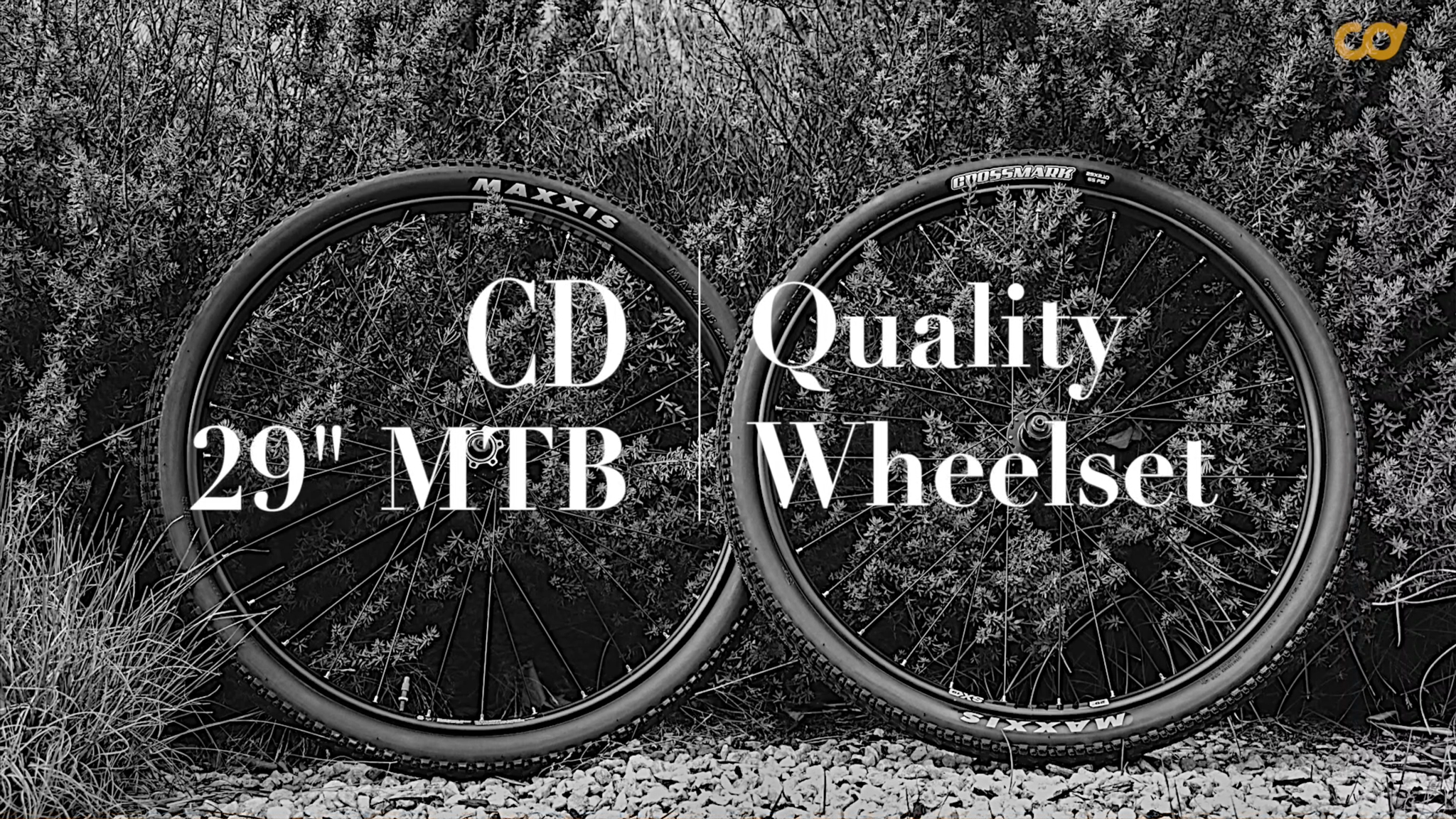 Amazon.com : CyclingDeal WTB SX19 29” MTB Mountain Bike Novatec