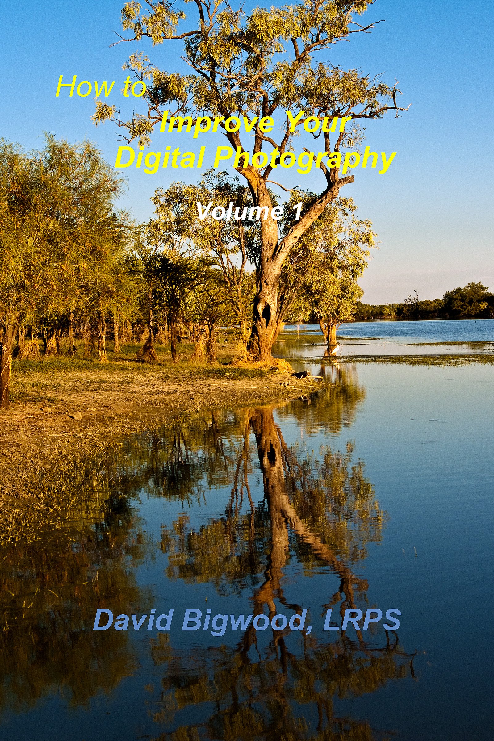 How to Improve Your Digital Photography Volume 1