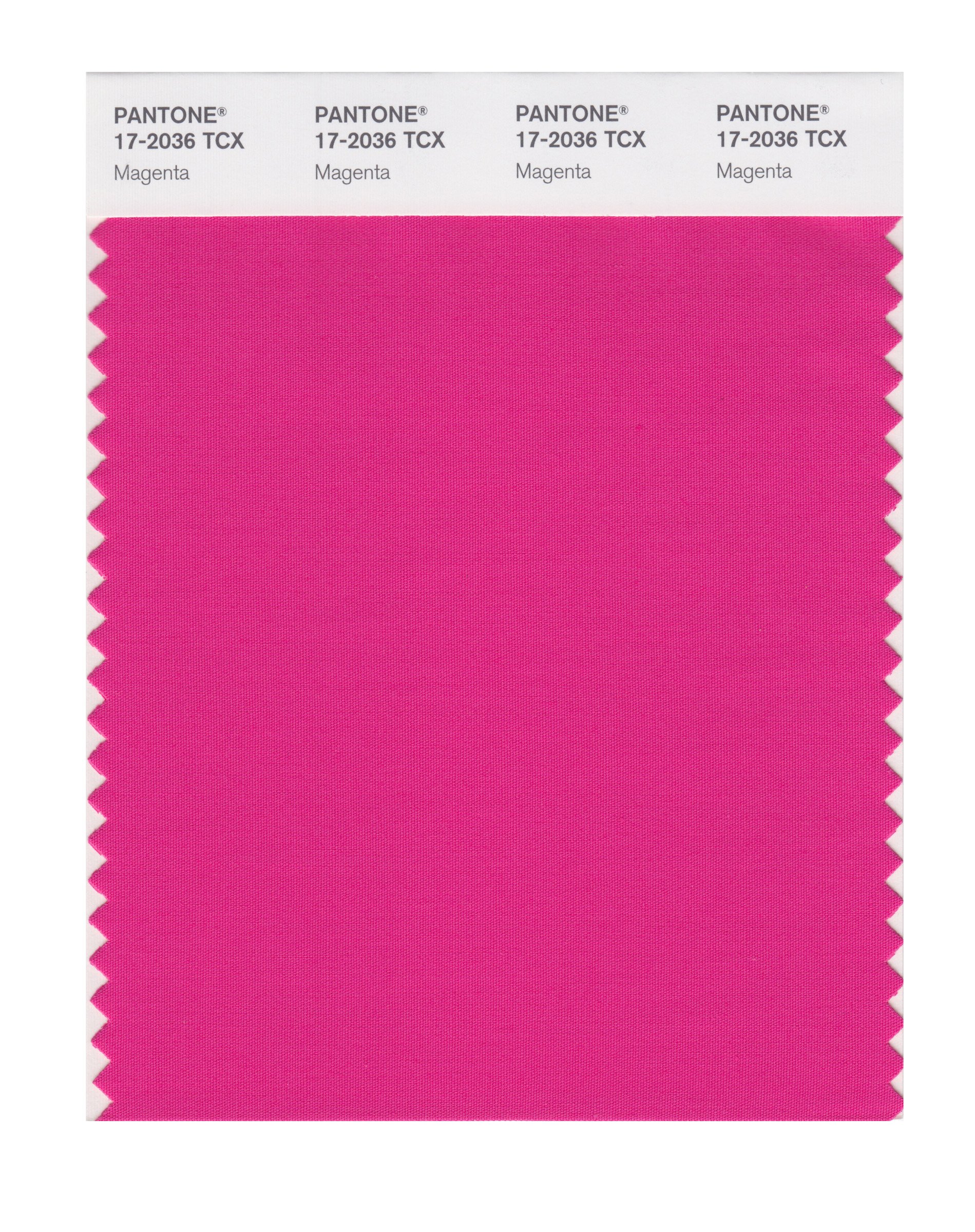 その他 PANTONE for fashion and  COLOR CARD パントン・ファッション、ホーム + インテリア・コットン