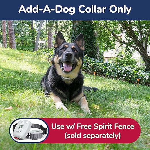 shock collar with boundaries