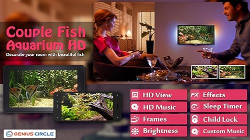 free couple fish aquarium HD - aproveite o romance de peixes em sua TV HDR 4K, TV 8K e dispositivos