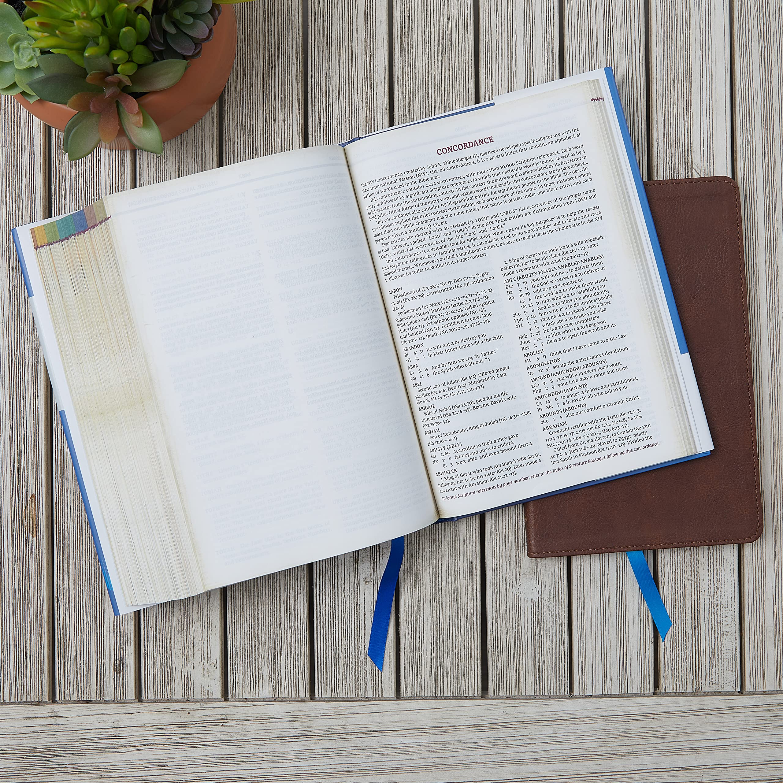 NIV, Chronological Study Bible, Hardcover, Comfort Print: Holy Bible, New International Version