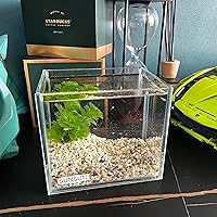 Vista 5 de Pequeño Tanque Nano Alto Sin Montura, Tanque de Peces de Vidrio, Tanque Betta (0.7 Galones, 5.9x4.3x5.1in/15x11x13cm)