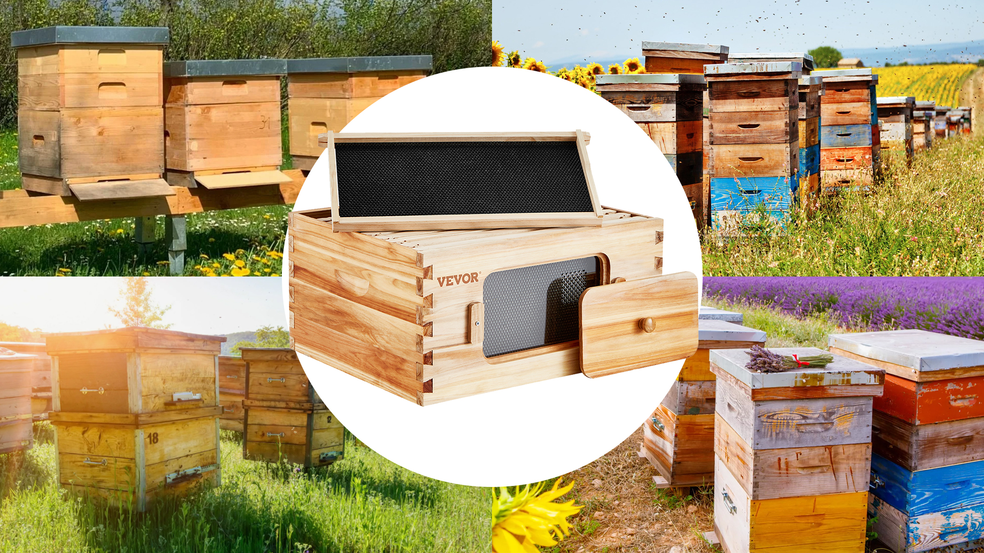 Amazon.com: VEVOR 10 Frame Deep Brood Bee Hive Box, Bee Box Dipped