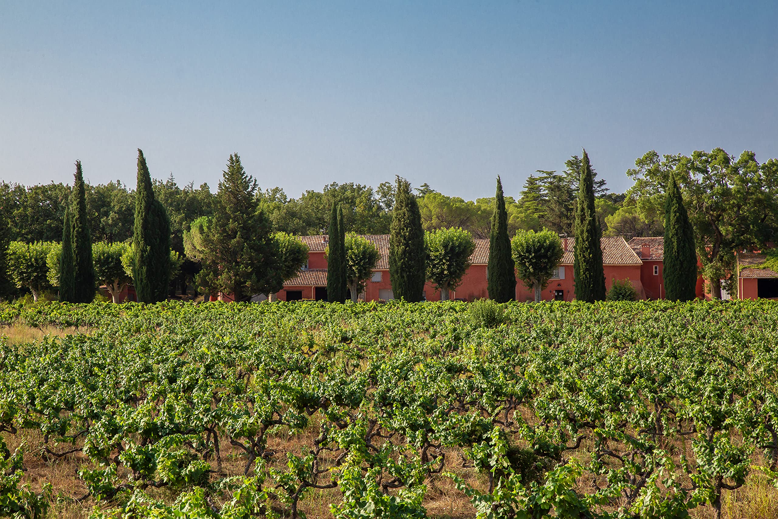 Tourelle de Terrebonne Confidura - Vin rouge Merlot Syrah - Languedoc, France (6x0,75l)