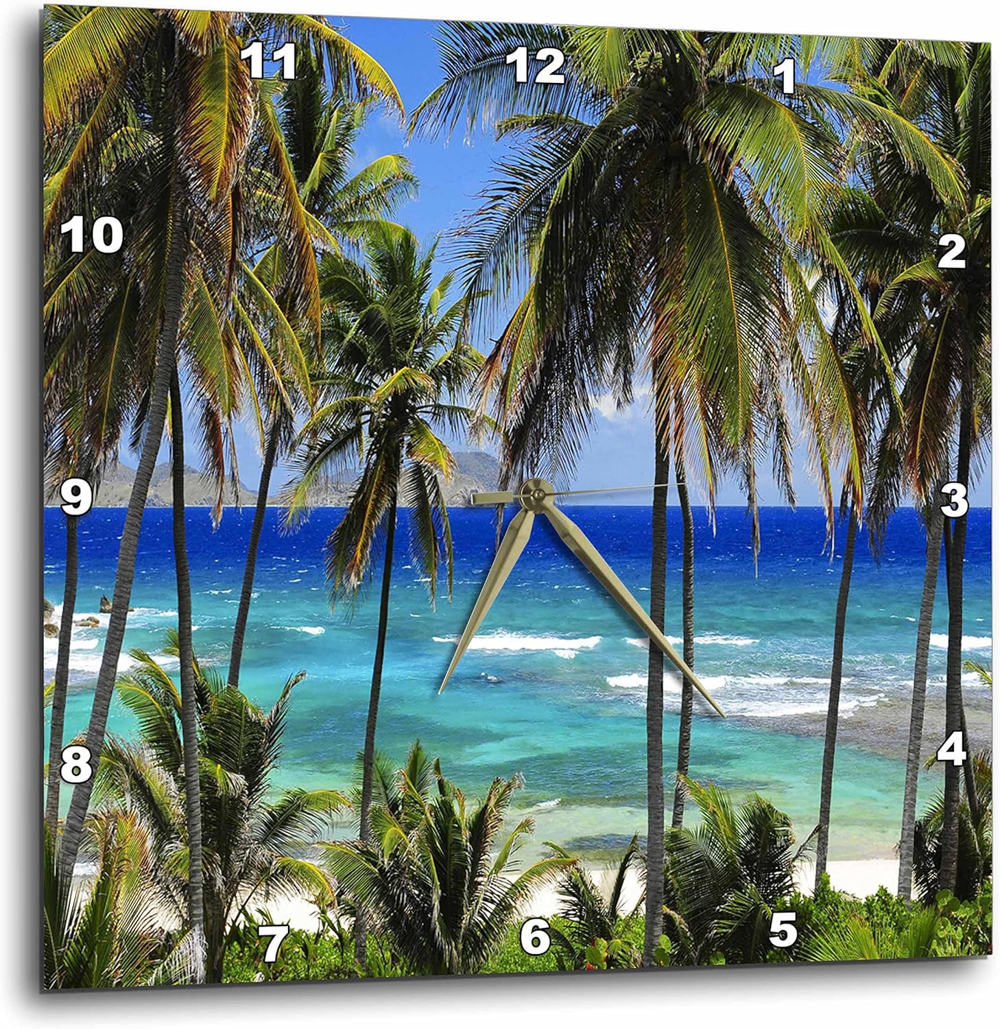3dRose DPP_173296_3 Tropical Day Scene with Swaying Palm Trees and Glimpses of Blue Ocean Wall Clock, 15 by 15-Inch