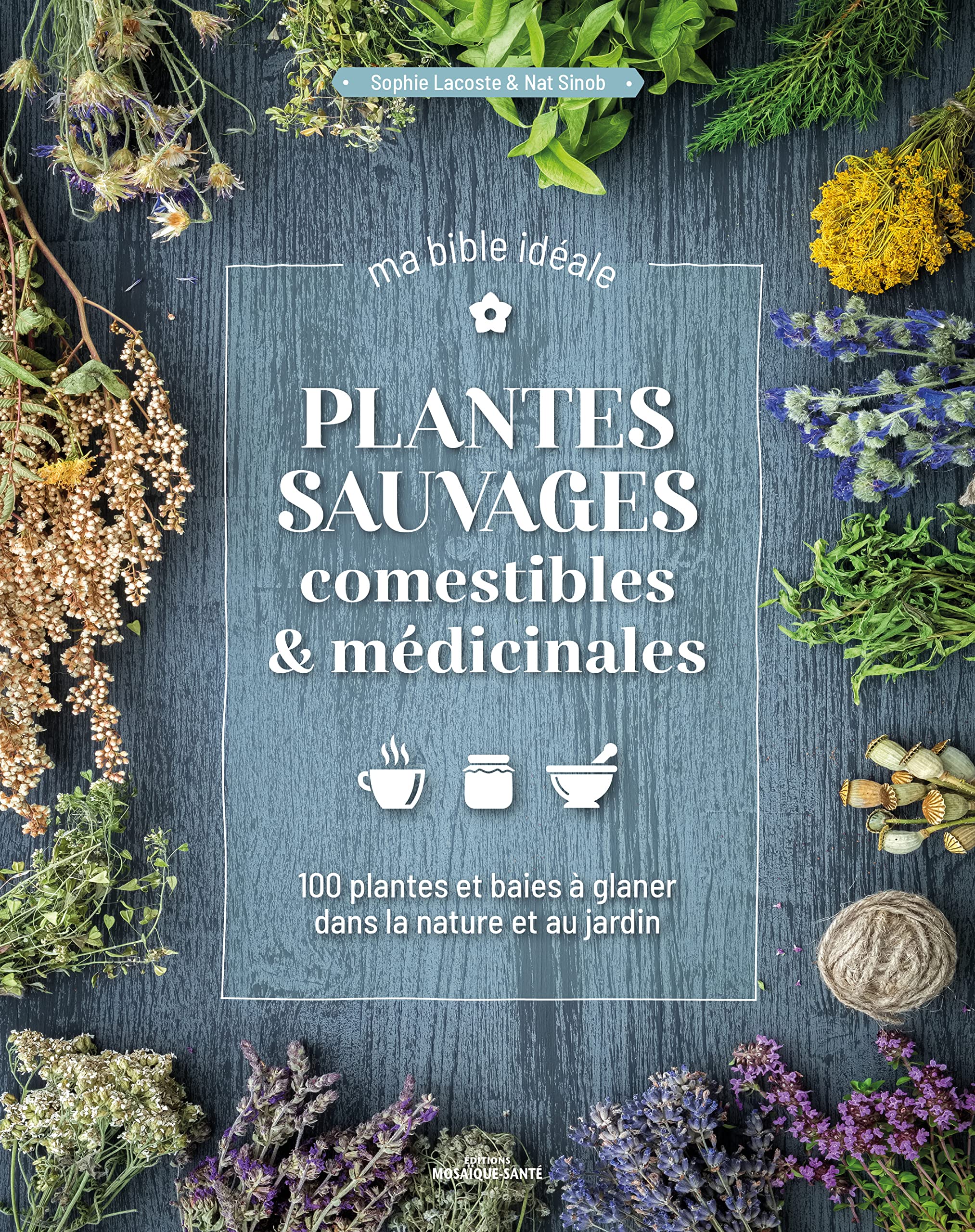 Plantes sauvages comestibles & médicinales, ma bible idéale: 100 plantes et baies à glaner dans la nature et au jardin