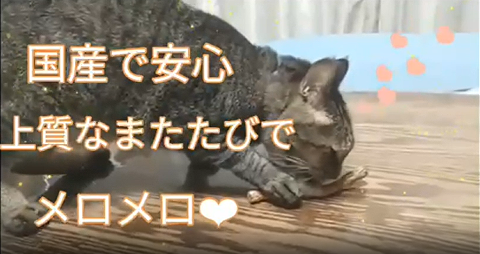 Amazon | ポンポリース 猫用おもちゃ またたびの木 計12本 日本産 国産