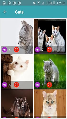 Animal Wallpaper 3D Free 2018