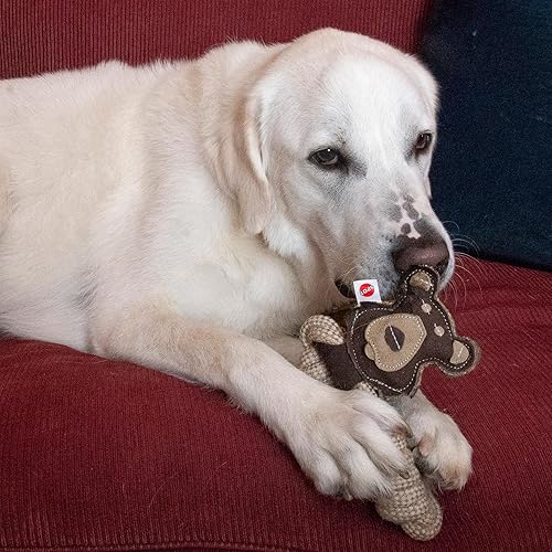 Miniatura 5 de SPOT Dura-Fused - Anillos de cuero de animales – Juguete de cuerda para perro, hecho con cuero real y tela de yute, anillo de cuerda duradero es