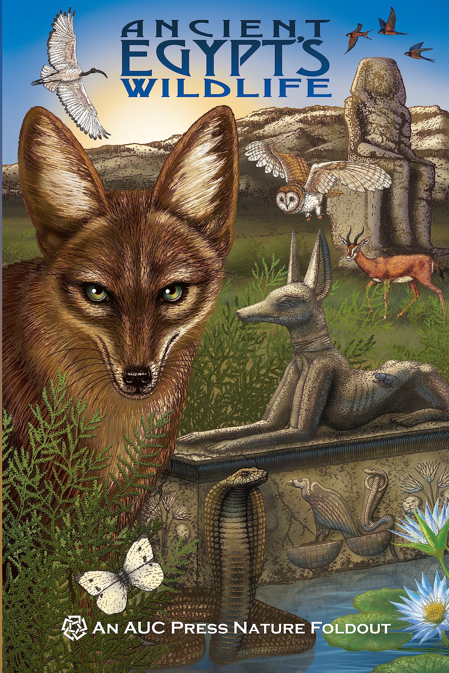 Ancient Egypt's Wildlife: An AUC Press Nature Foldout Pamphlet – Illustrated, 15 August 2013