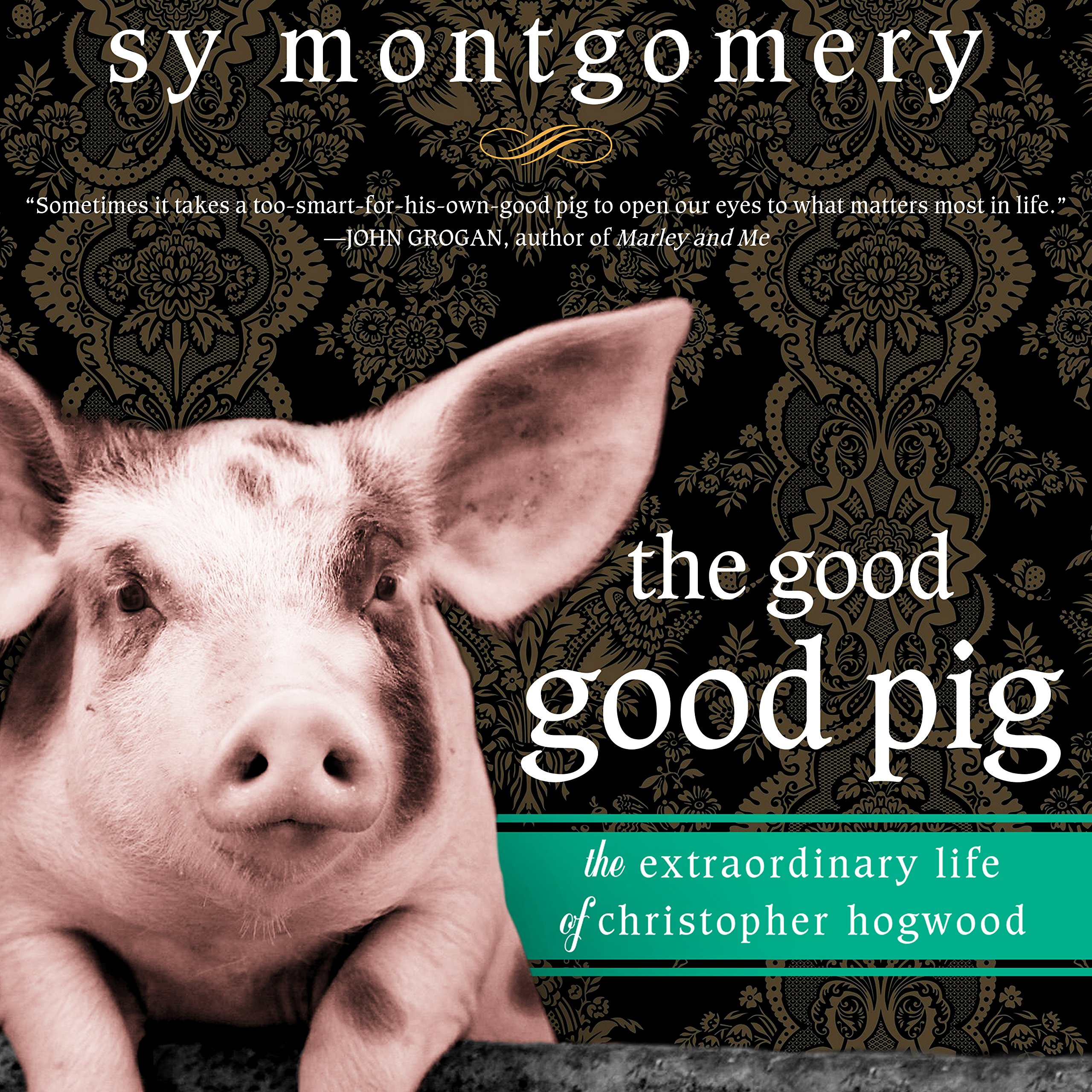 Cover art for The Good Good Pig