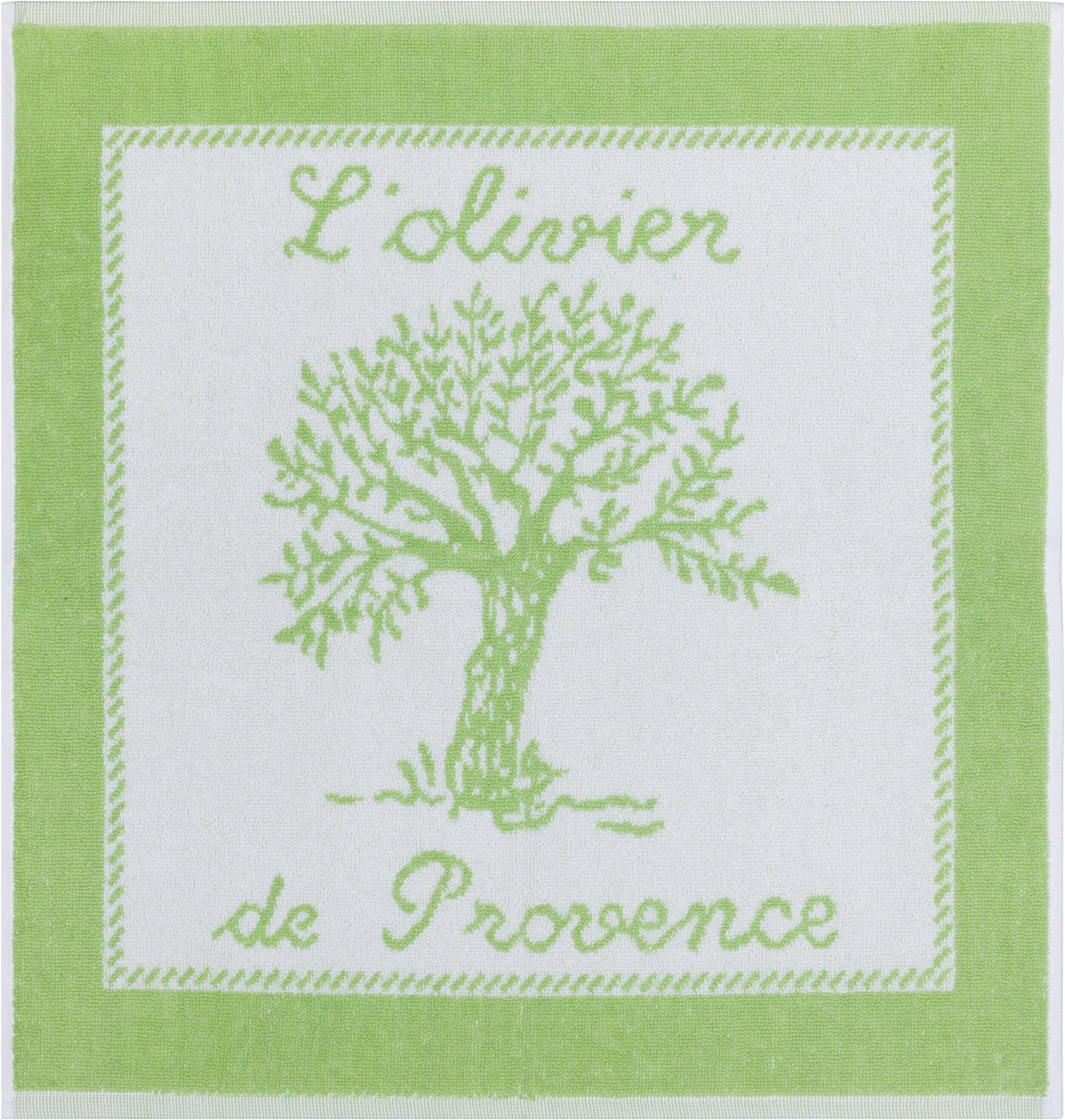 French Cotton Square Terry Towel, Olivier Amande, 20-Inches by 20-Inches, Green, White