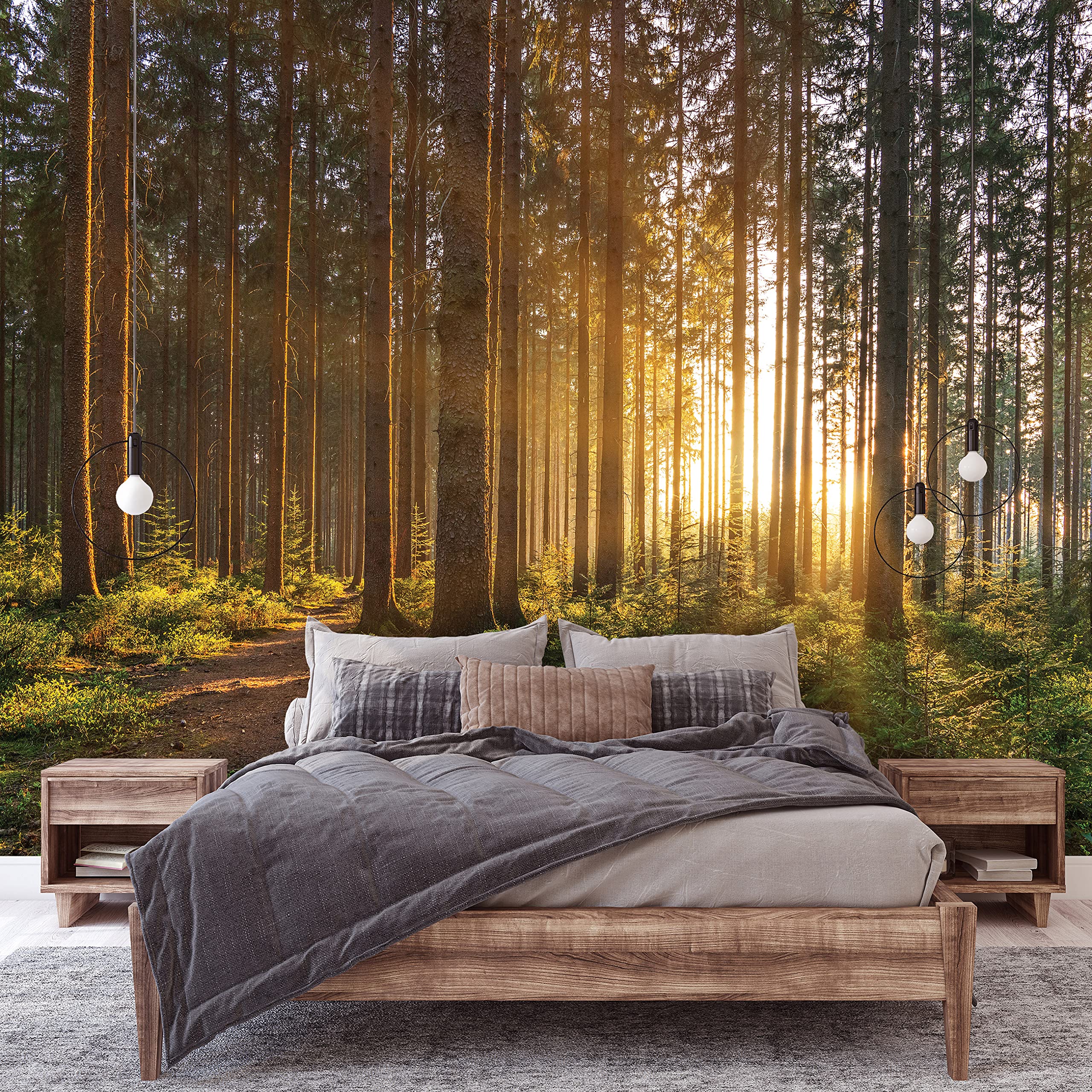 Fototapete Sonnenaufgang Frühlingswald 300x210cm - Vlies Tapete Für Wohnzimmer & Schlafzimmer