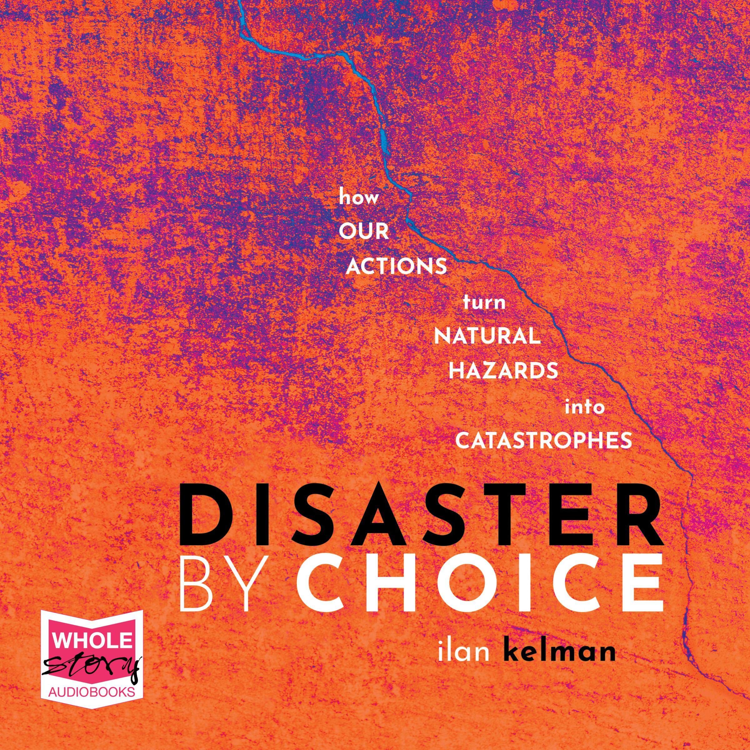 Cover art for Disaster by Choice
