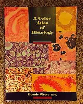 Color Atlas and Text of Histology 第3版 Color Atlas and Text of Histology: Leslie P. Gartner