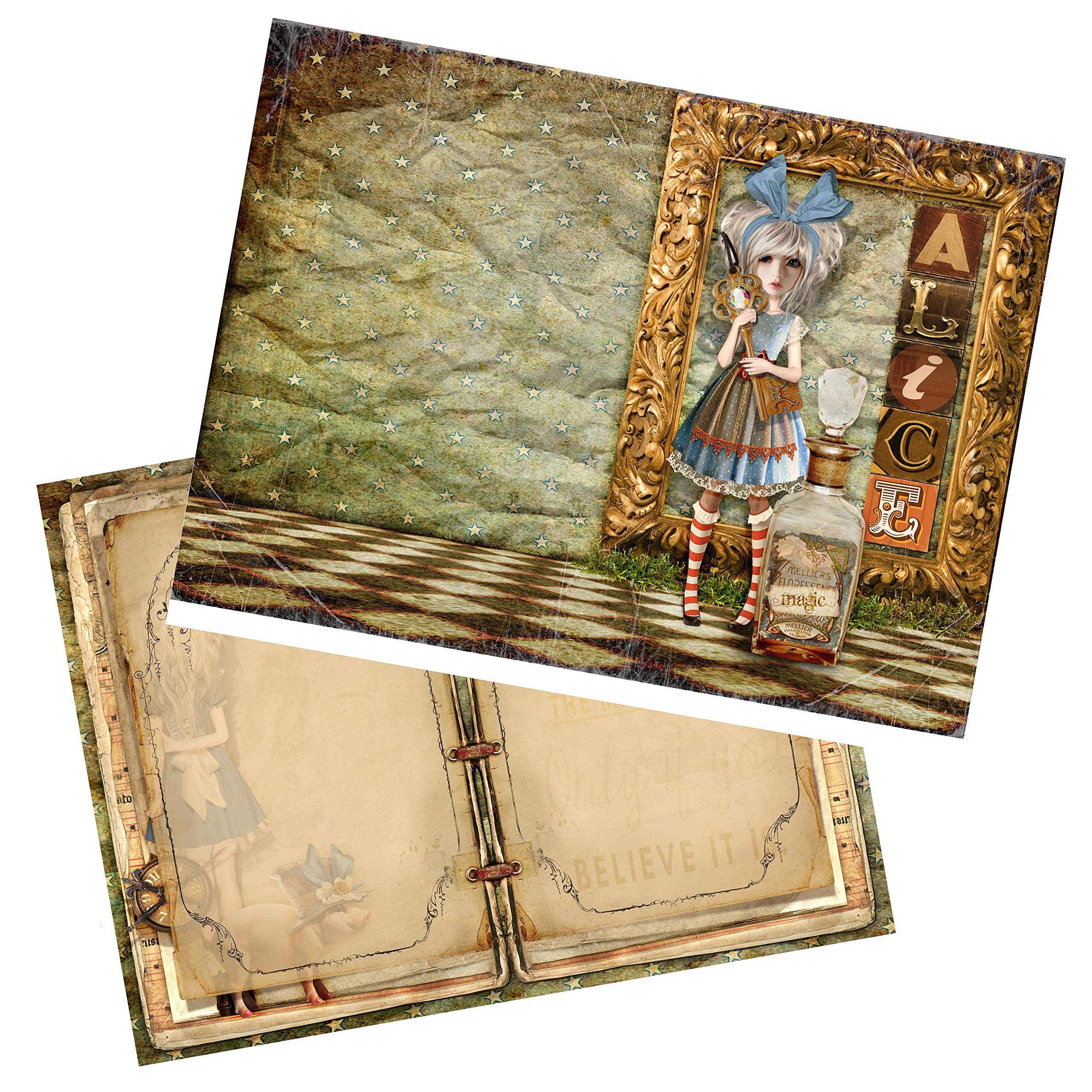 Alice Junk Journal Paper Pack - EZ Journal 7084 : Amazon.ca