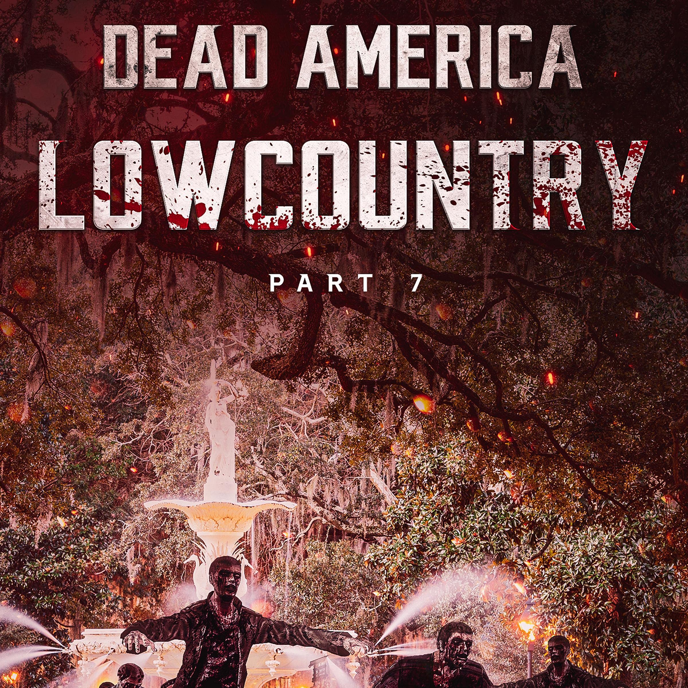 Cover art for Dead America - Lowcountry Pt. 7