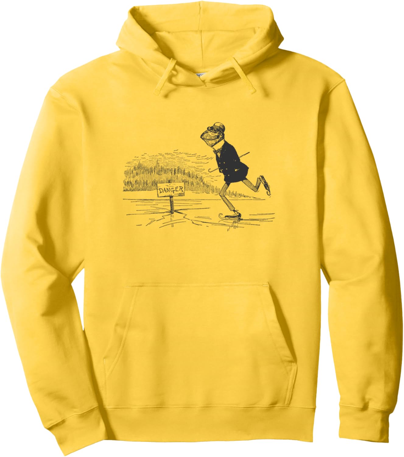 Cottagecore Frog Ice Skating – Vintage Frogcore Aesthetics Pullover Hoodie