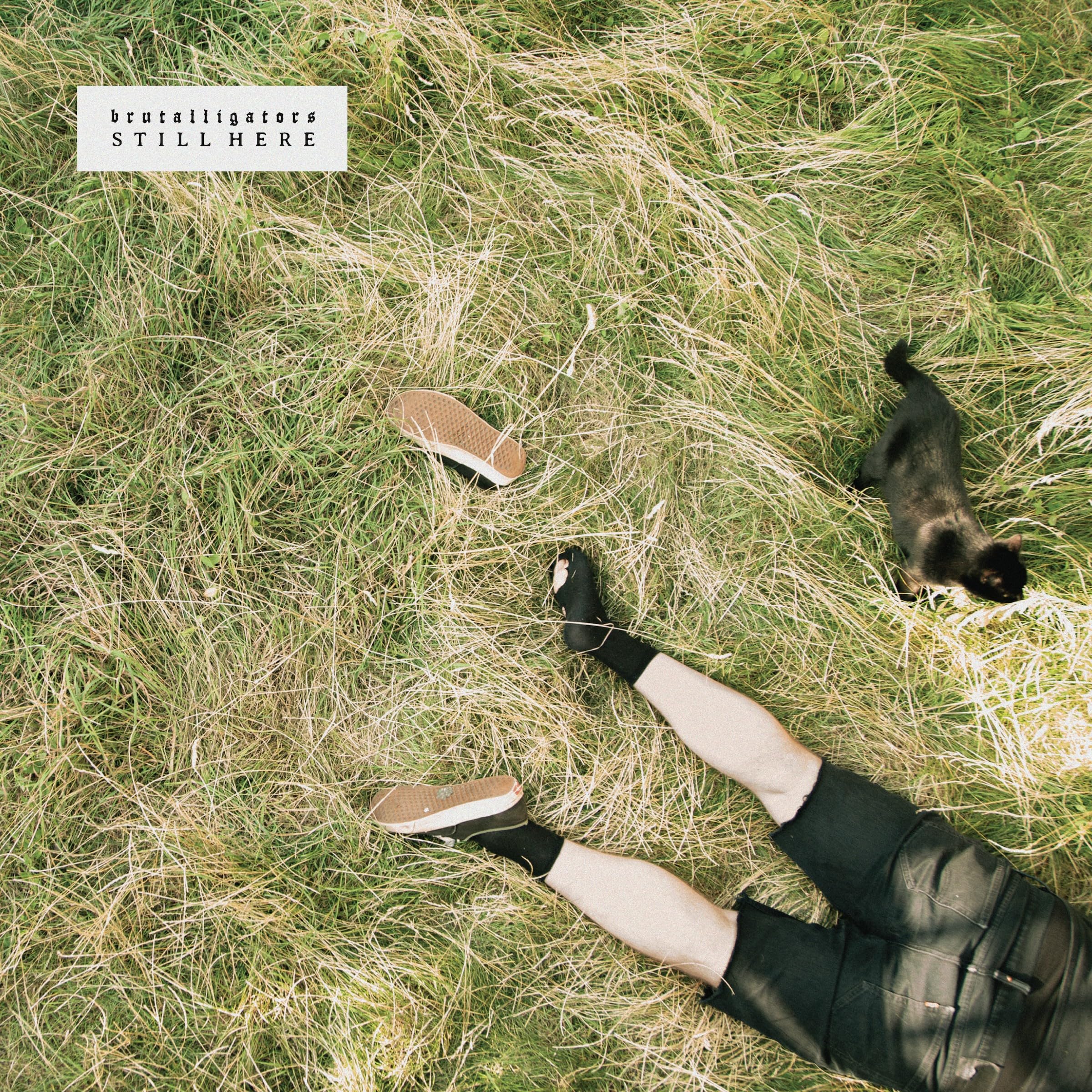BRUTALLIGATORS - Still Here - Vinyl ('grassy' green marbled vinyl LP)