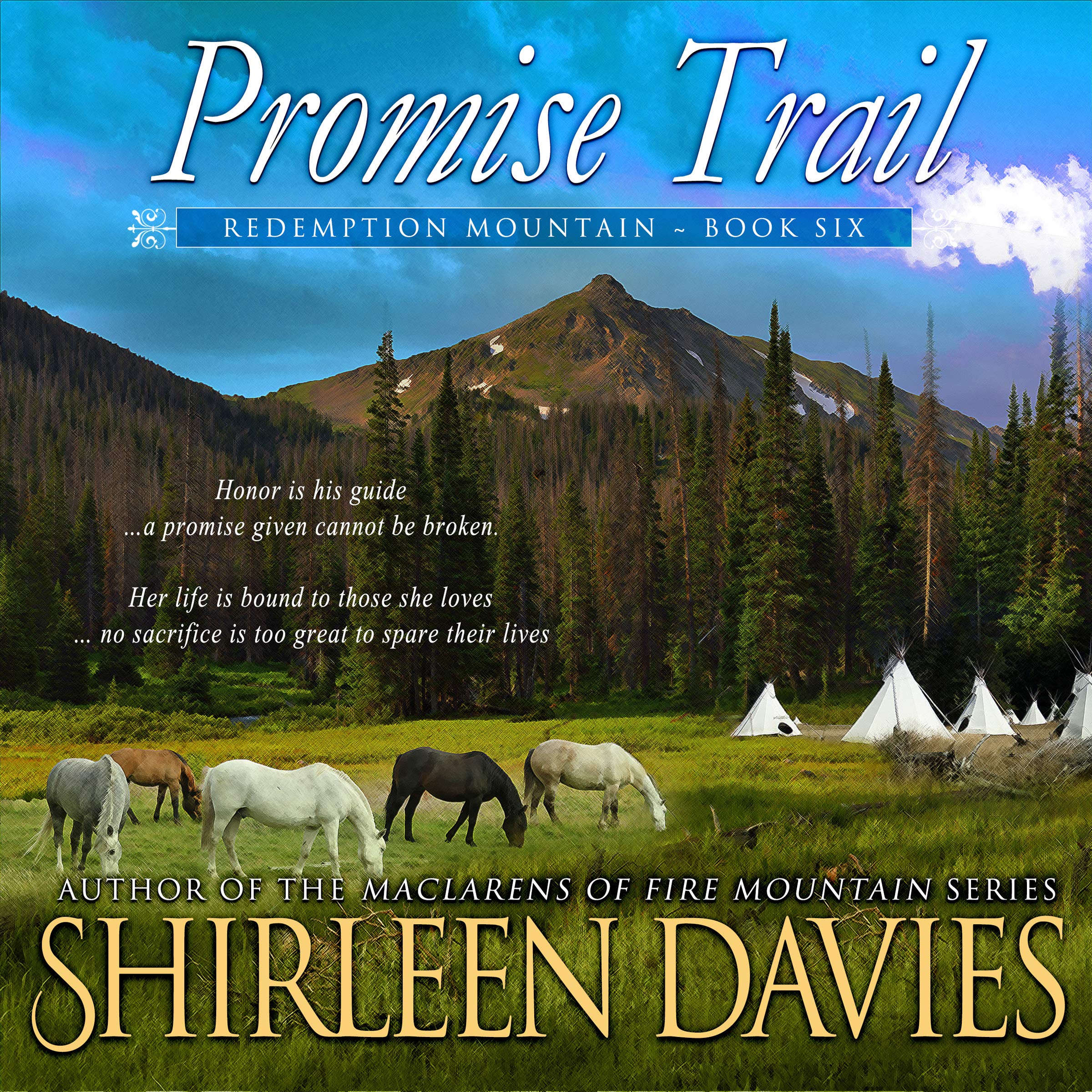 Cover art for Promise Trail