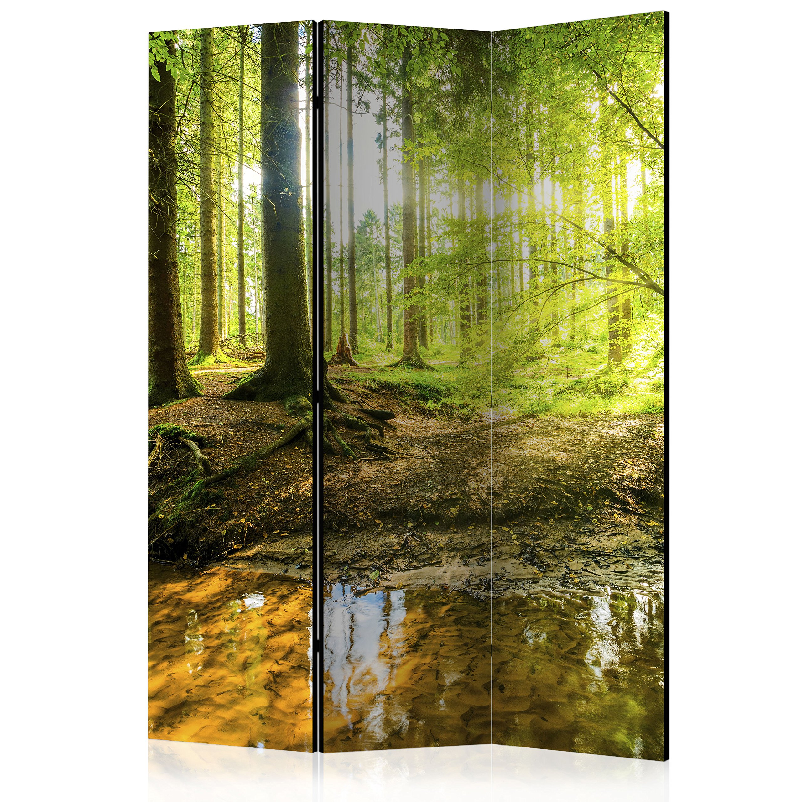 RAUMTEILER/PARAVENT B&D XXL Raumteiler Wald Baum Natur Foto Paravent 135x172 cm beidseitig auf Vlies-Leinwand Bedruckt Trennwand Spanische Wand Sichtschutz Raumtrenner Home Office grün c-B-0183-z-b