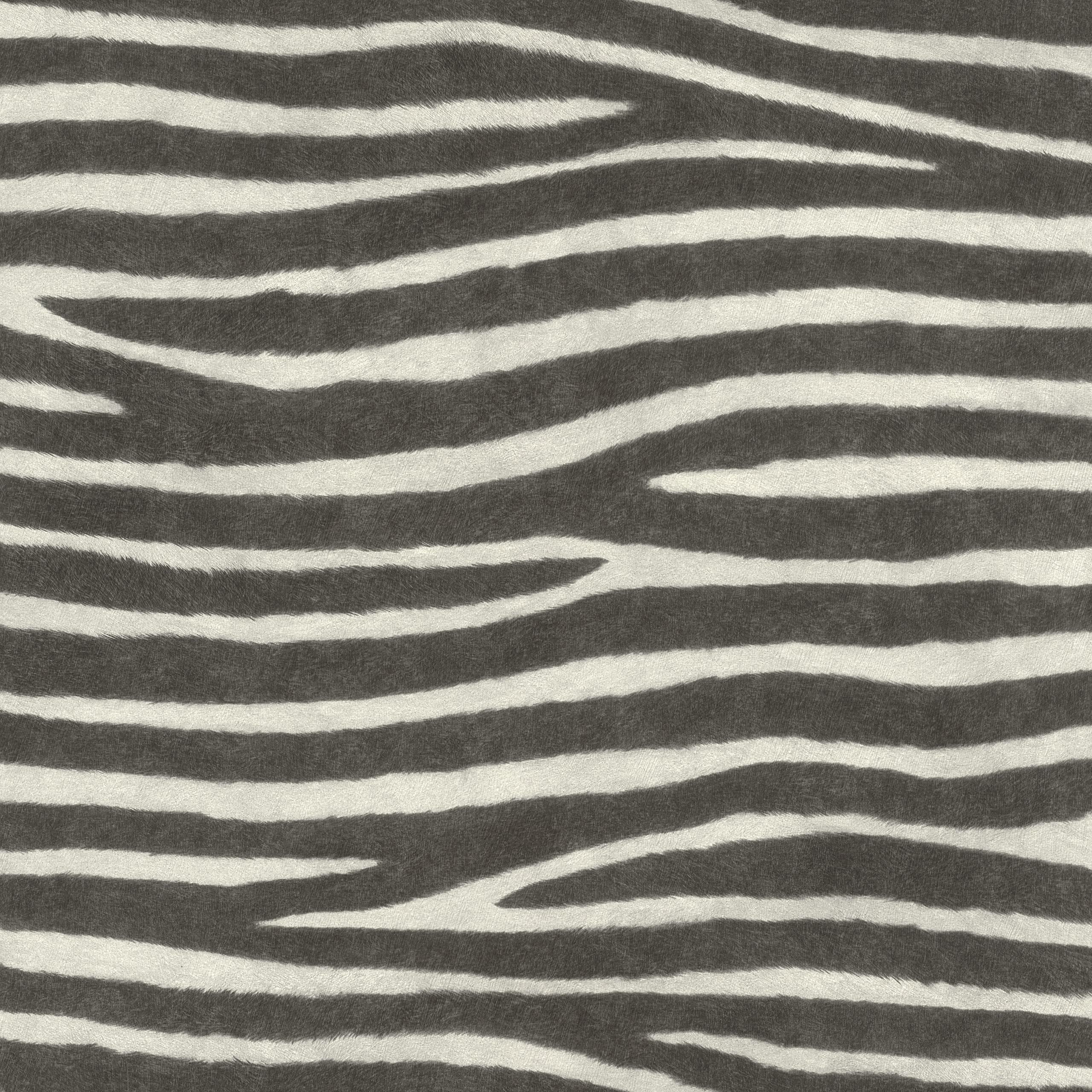 Rasch African Queen III Collection 751727 Non-Woven Wallpaper with Zebra Pattern in Black and White