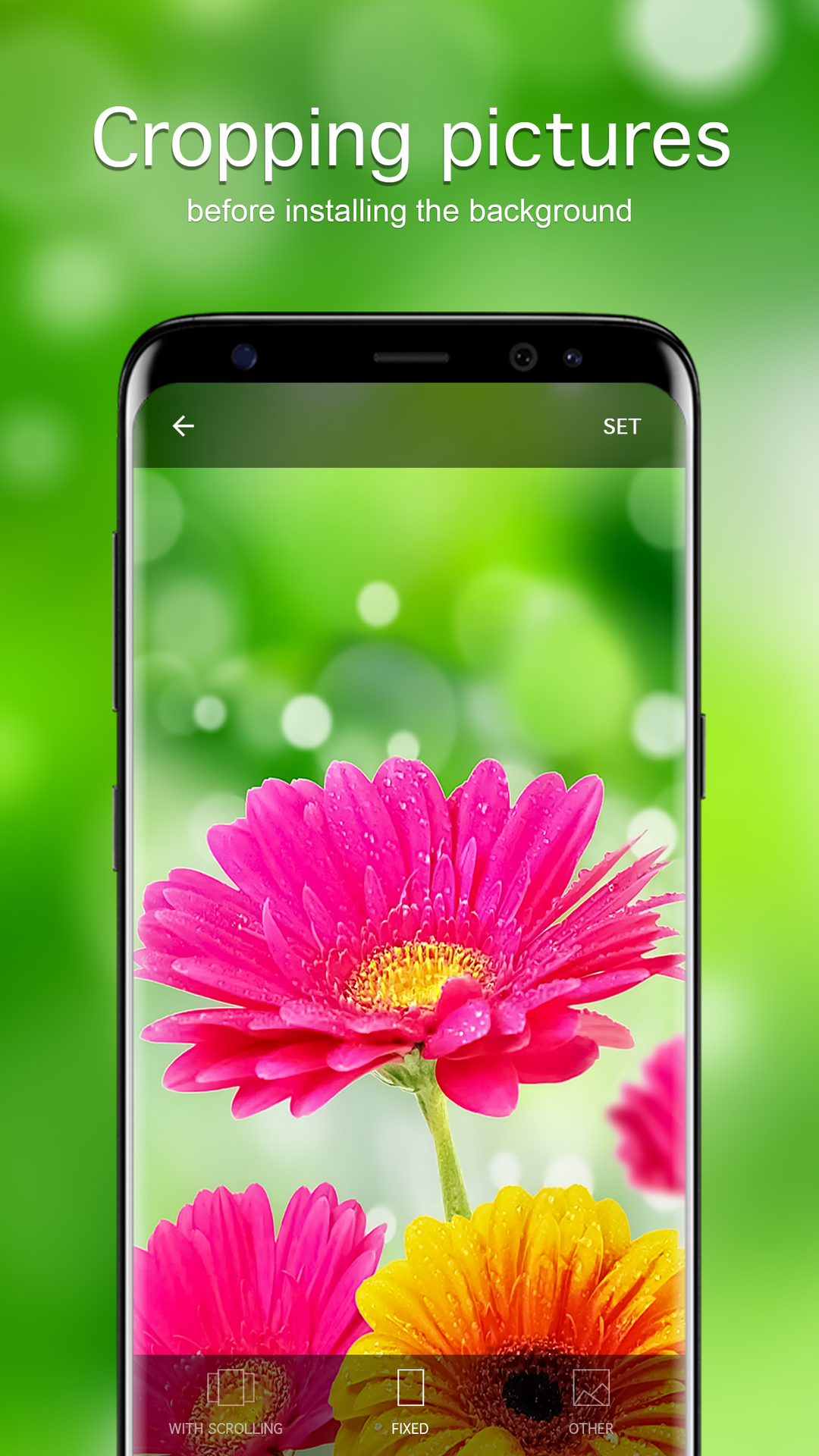 Flower Wallpapers and Backgrounds apps 4k - App on Amazon Appstore