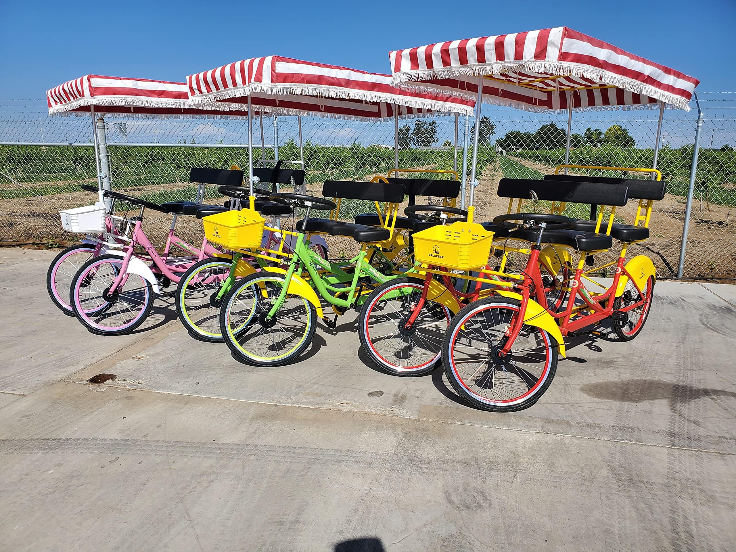4 Person Bicycle - Surrey Bicycle