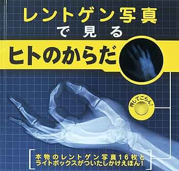 A1cWgN38isL._AC_UF350,