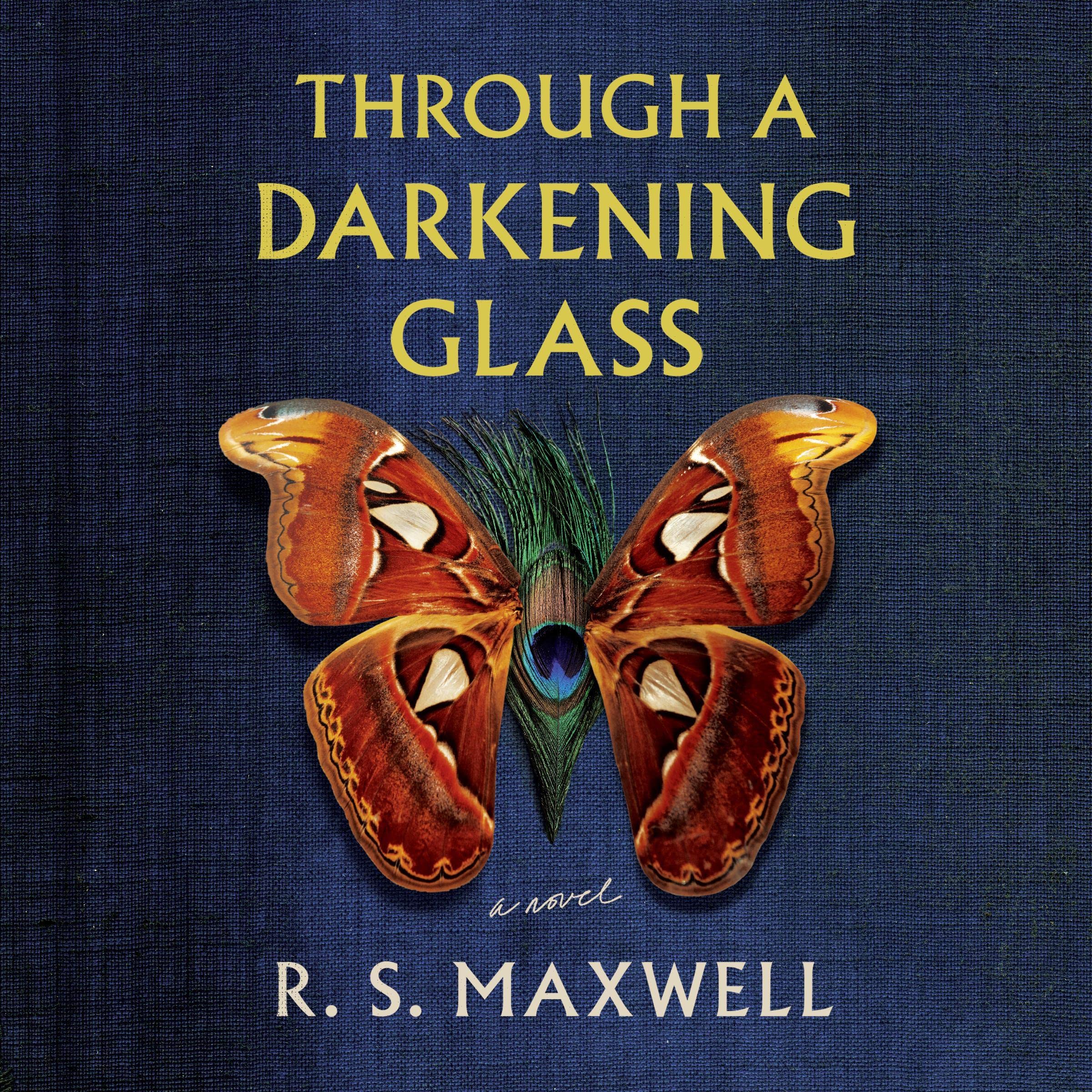 Cover art for Through a Darkening Glass