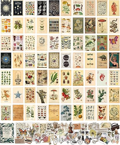 ASMANNA Kit de collage de pared vintage de 120 piezas, imágenes estéticas con bonitas calcomanías, pósteres para habitación, estética, arte botánico
