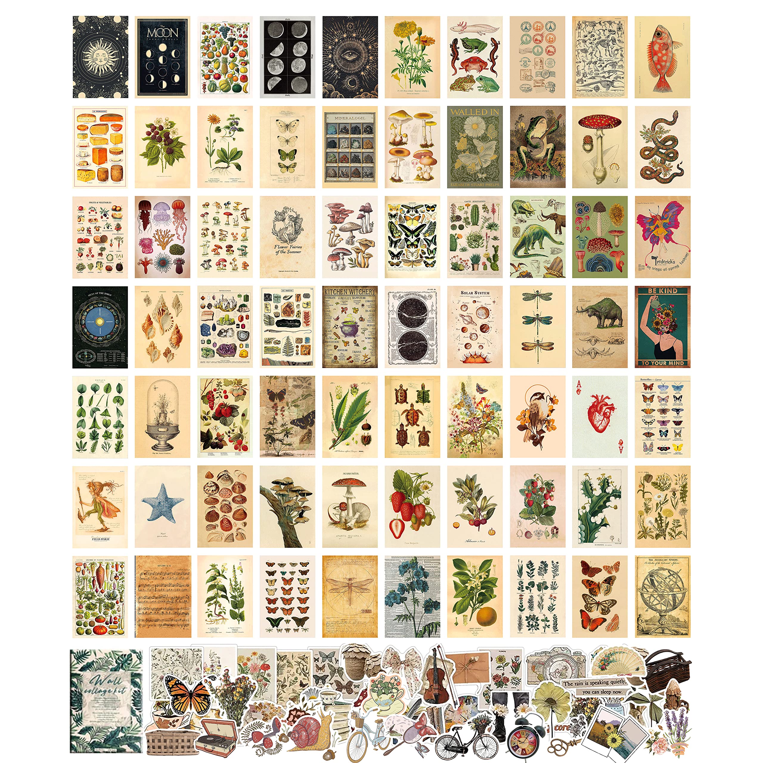 ASMANNA 120 Pcs Vintage Wall Collage Kit Aesthetic Pictures with Pretty Stickers Posters for Room Aesthetic Vintage Botanical Wall Art Cute Dorm Photo Wall Decor for Teen Girls