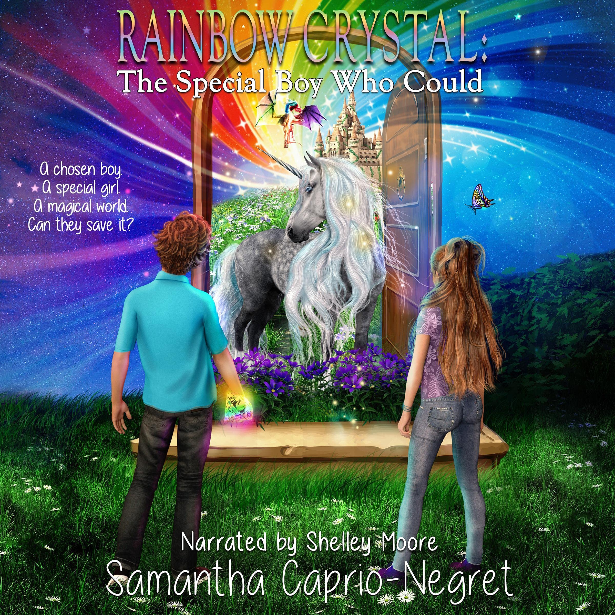 Cover art for The Special Boy Who Could