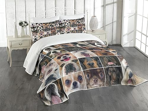 Lunarable Colcha para amantes de los perros, perros en estudio, chihuahua, chow chow, cocker spaniel, caniche de raza pura, estampado de perro