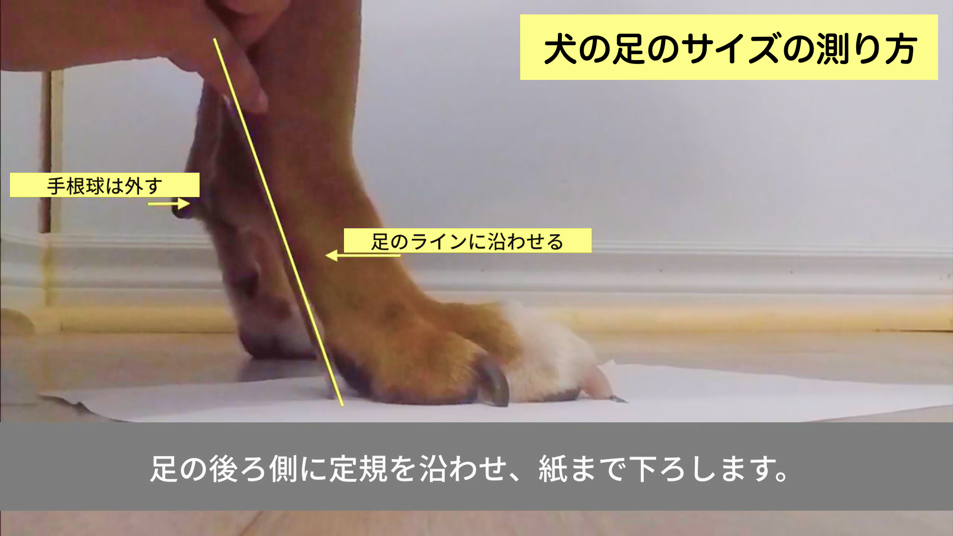 Amazon.co.jp: Muttluks スノーマッシャーズ 犬 靴 冬用 脱げない 履