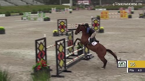 ShowHorse TV