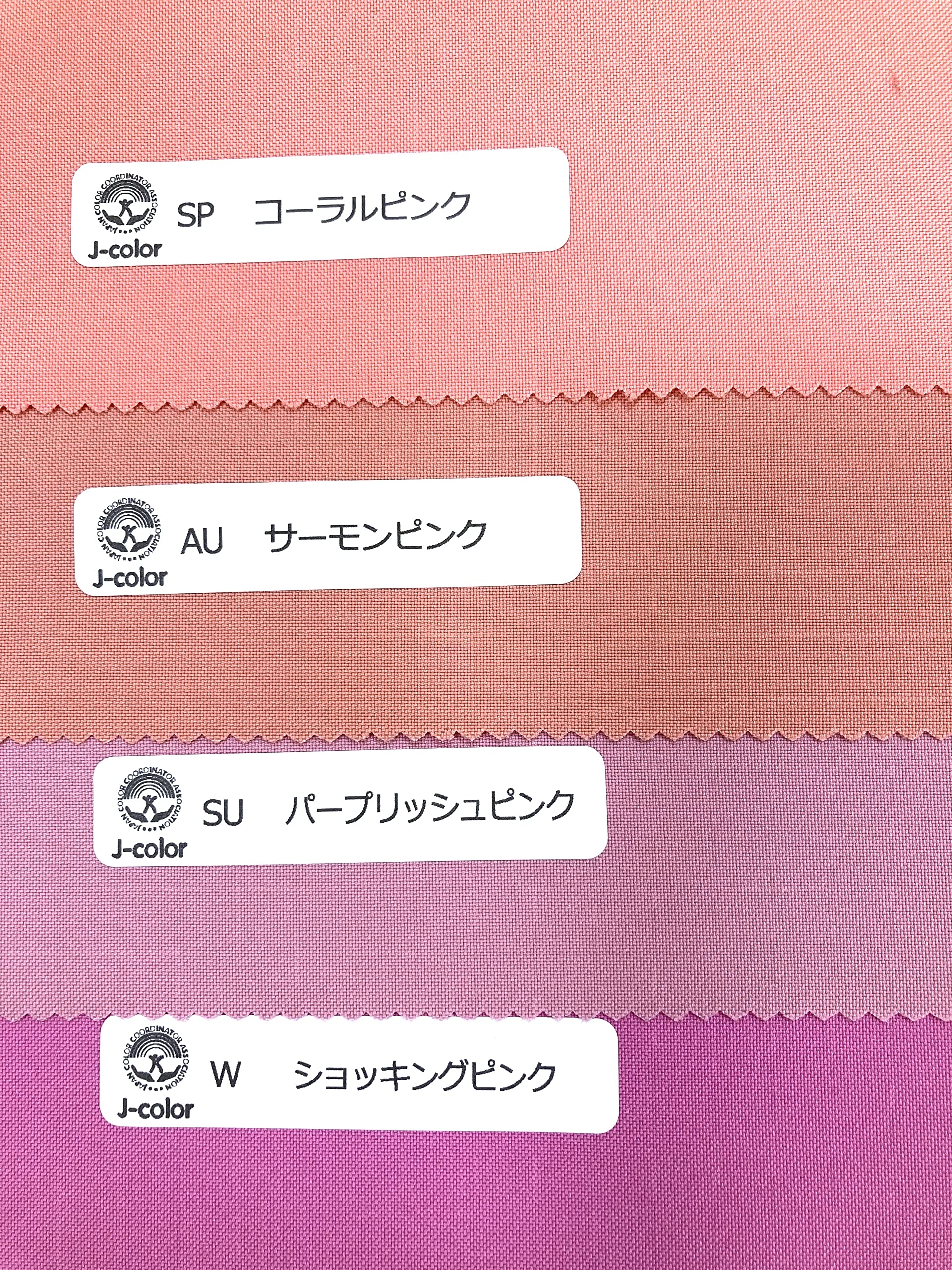 Amazon | J-color（一般社団法人 日本カラーコーディネーター協会