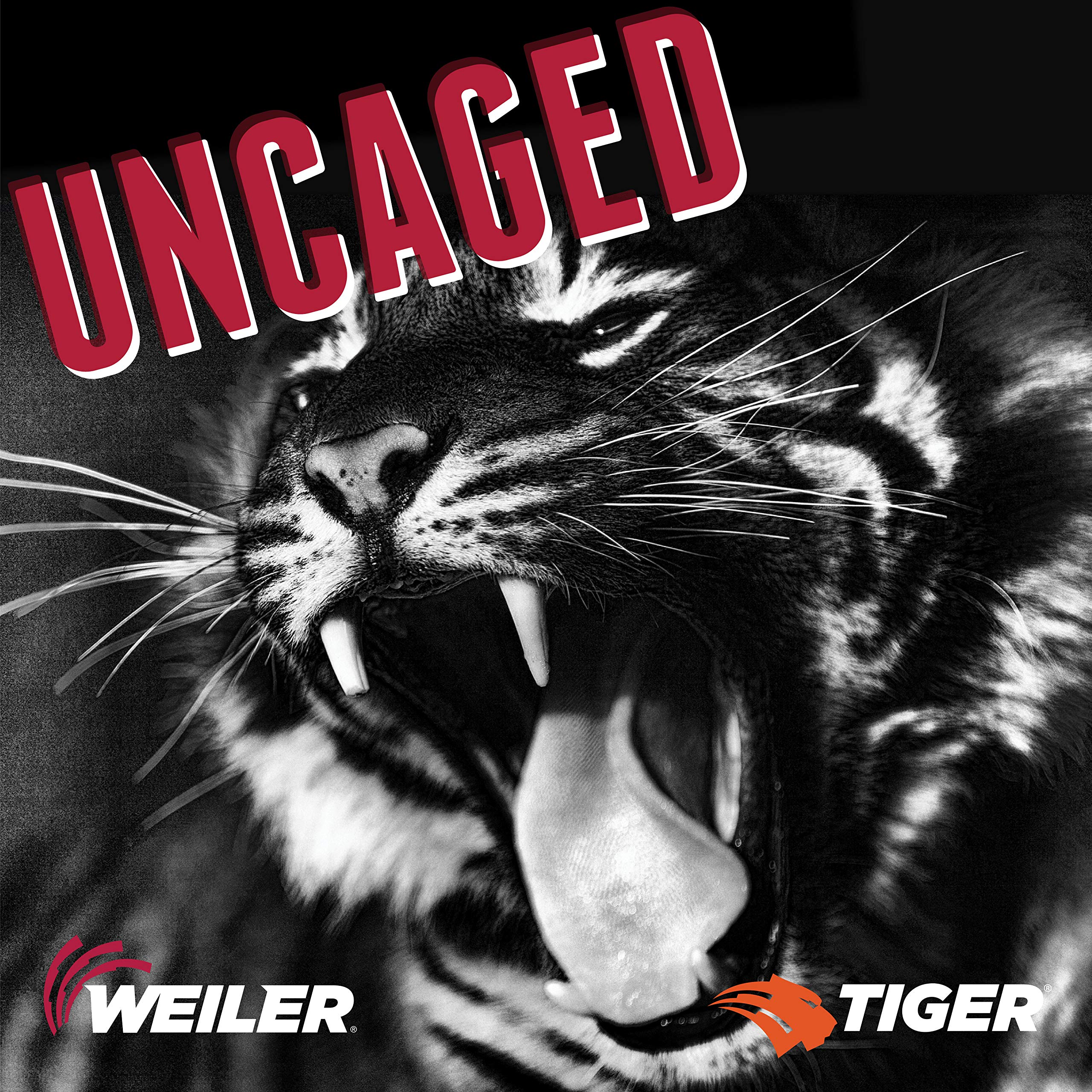 Weiler 58020 10-1/2" x 0,045" tygrys cyrkon typ 27 cienka tarcza tnąca, Z60T, 7/8" A.H. (opakowanie 25)