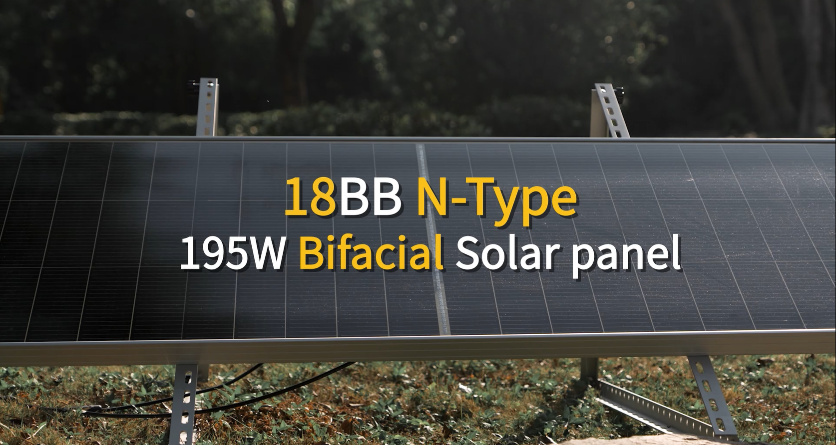 Amazon.com : ECO-WORTHY 195W N-Type 18BB Bifacial Solar Panel, 1PC