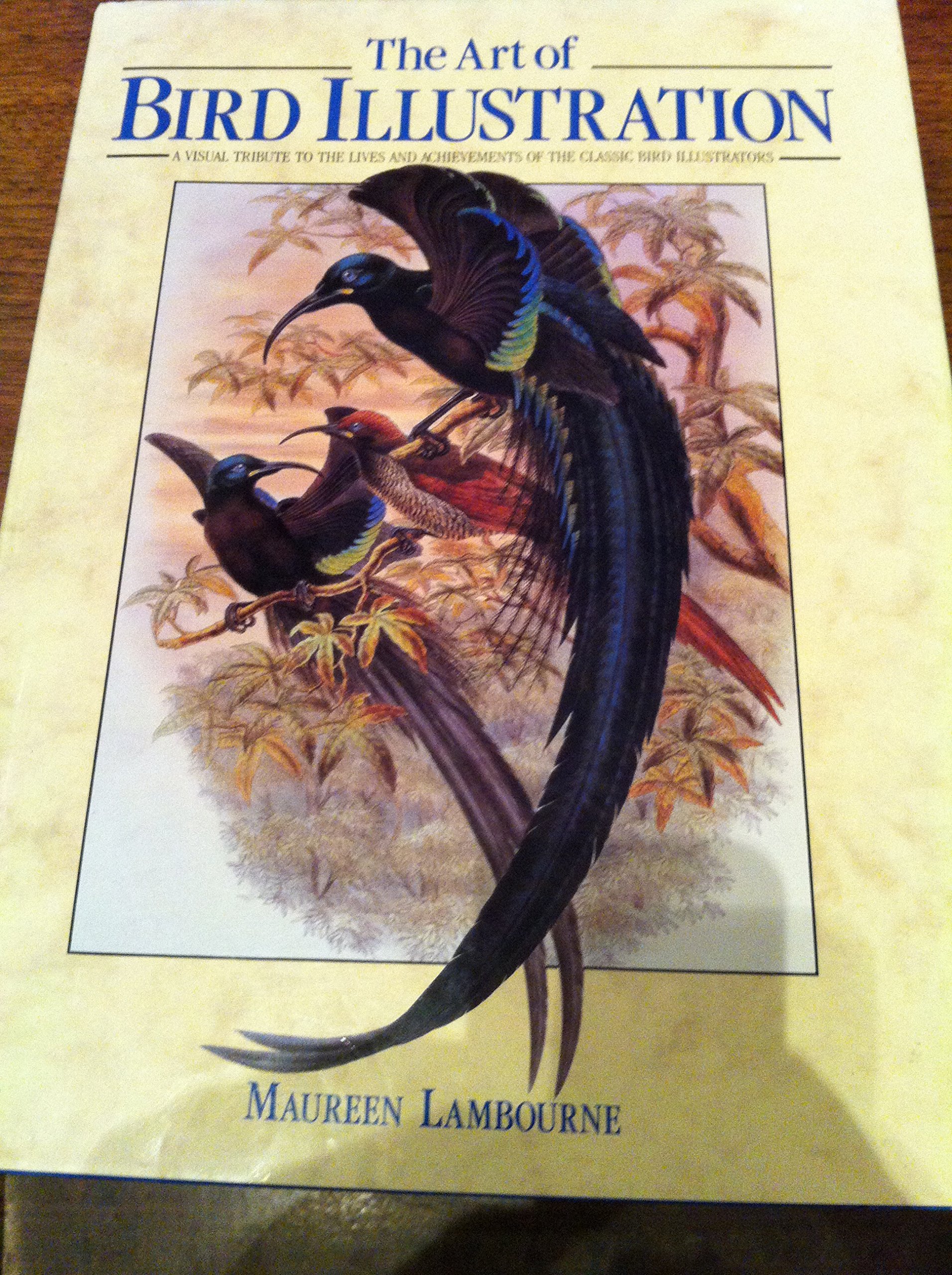 The Art of Bird Illustration