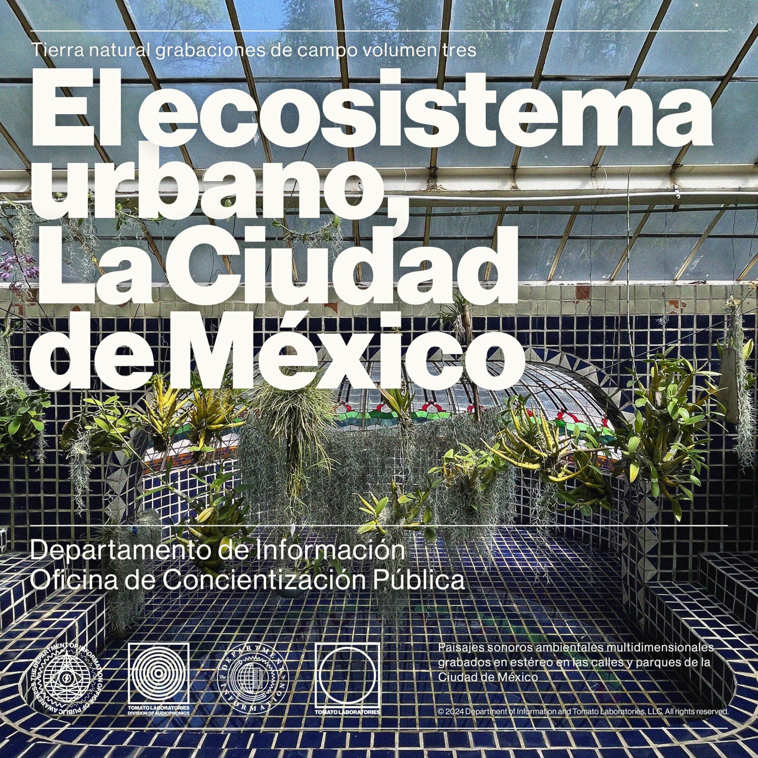 Shavasana Sound Bath Two (Vocals and Rainstick) [Hang Drum] [Tibetan ...