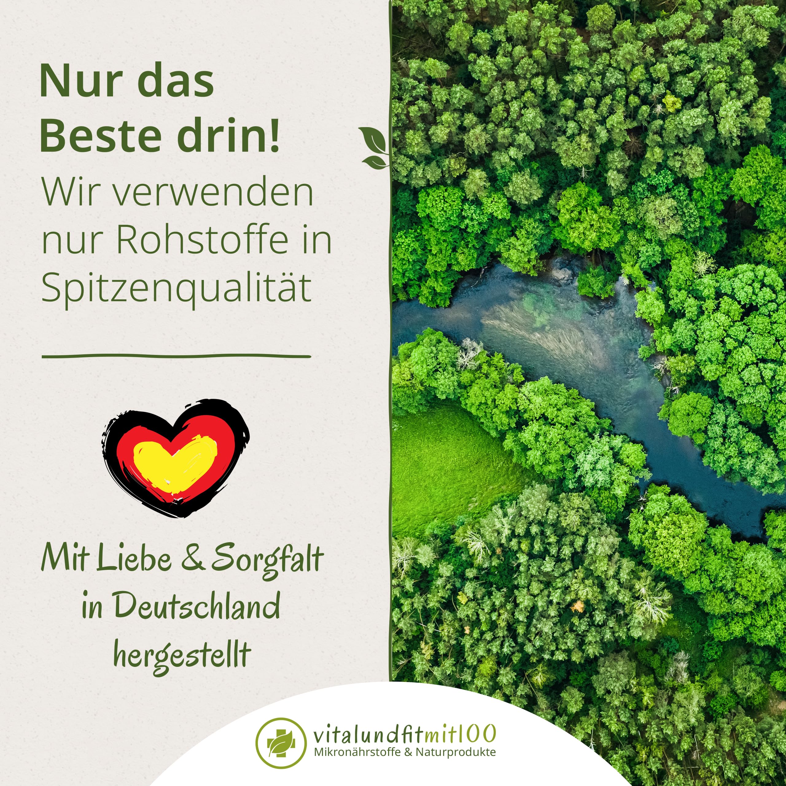 vitalundfitmit100 Astragalus Extrakt Pulver 100g – Astragalus Wurzel Extrakt – Standardisiert mit Polysacchariden