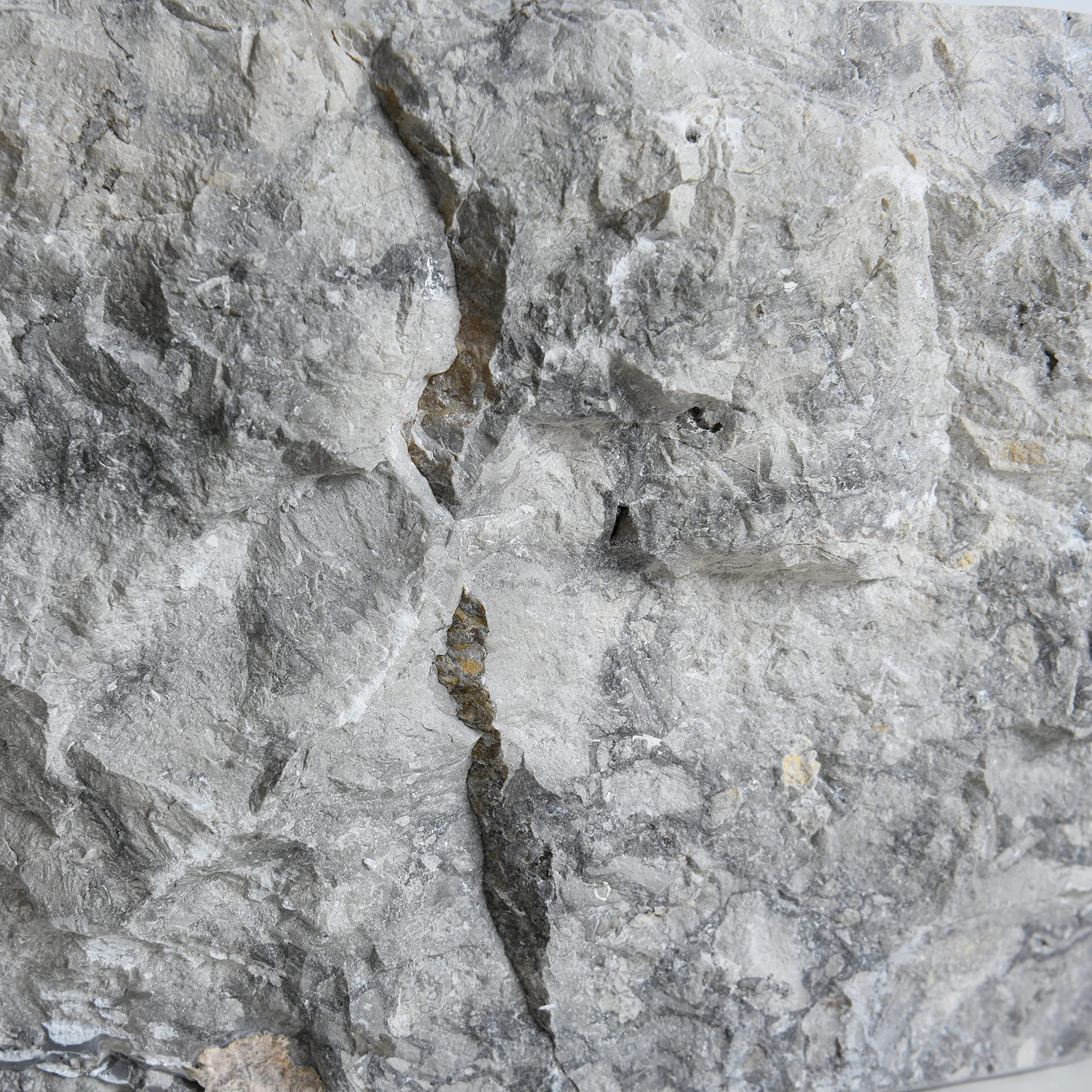 ESTEXO Umywalka marmur kamień naturalny umywalka ok. Ø 38-40 cm x 15 cm umywalka umywalka umywalka kamienna umywalka szara