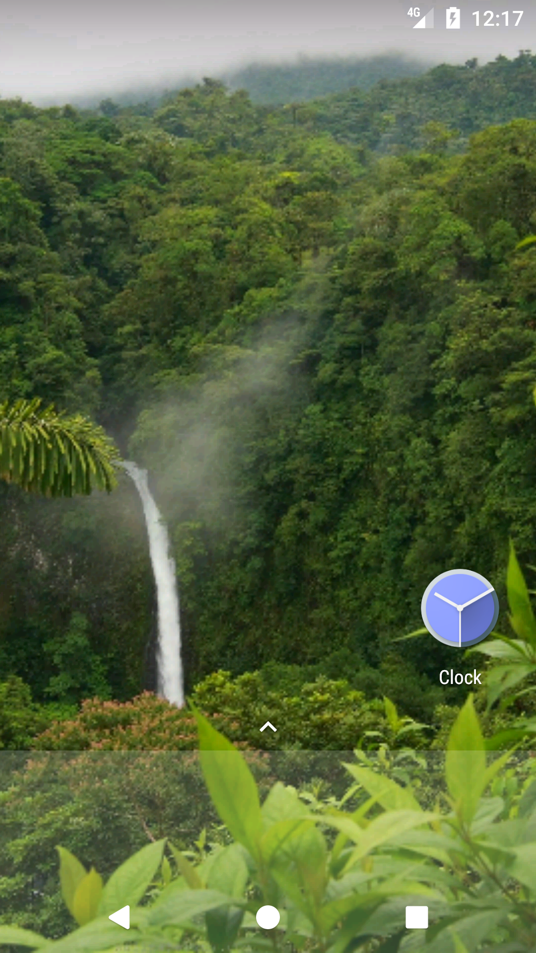 Rainforest Wallpaper HD Free:www.amazon.com:Appstore for Android