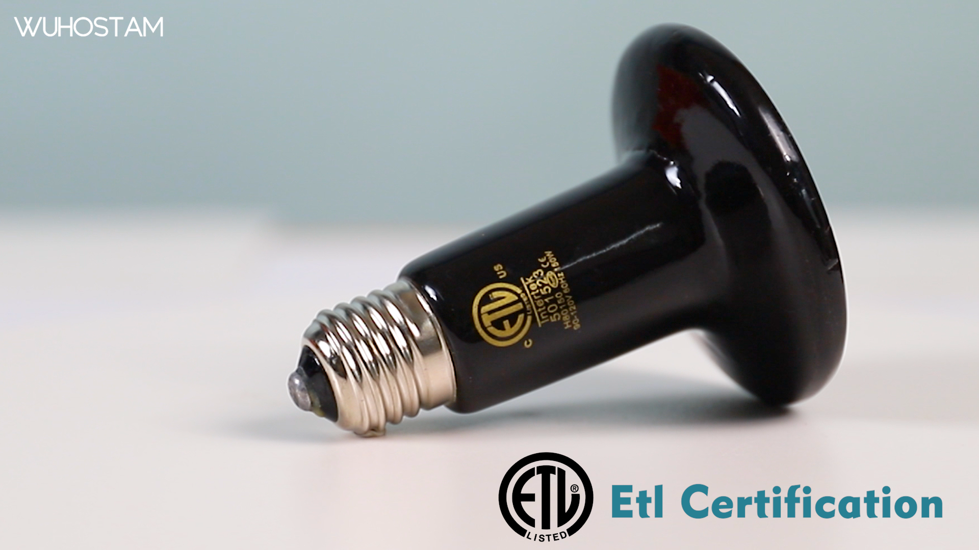 Amazon.com : WUHOSTAM 2 Pack 80W Ceramic Heat Lamp with 1